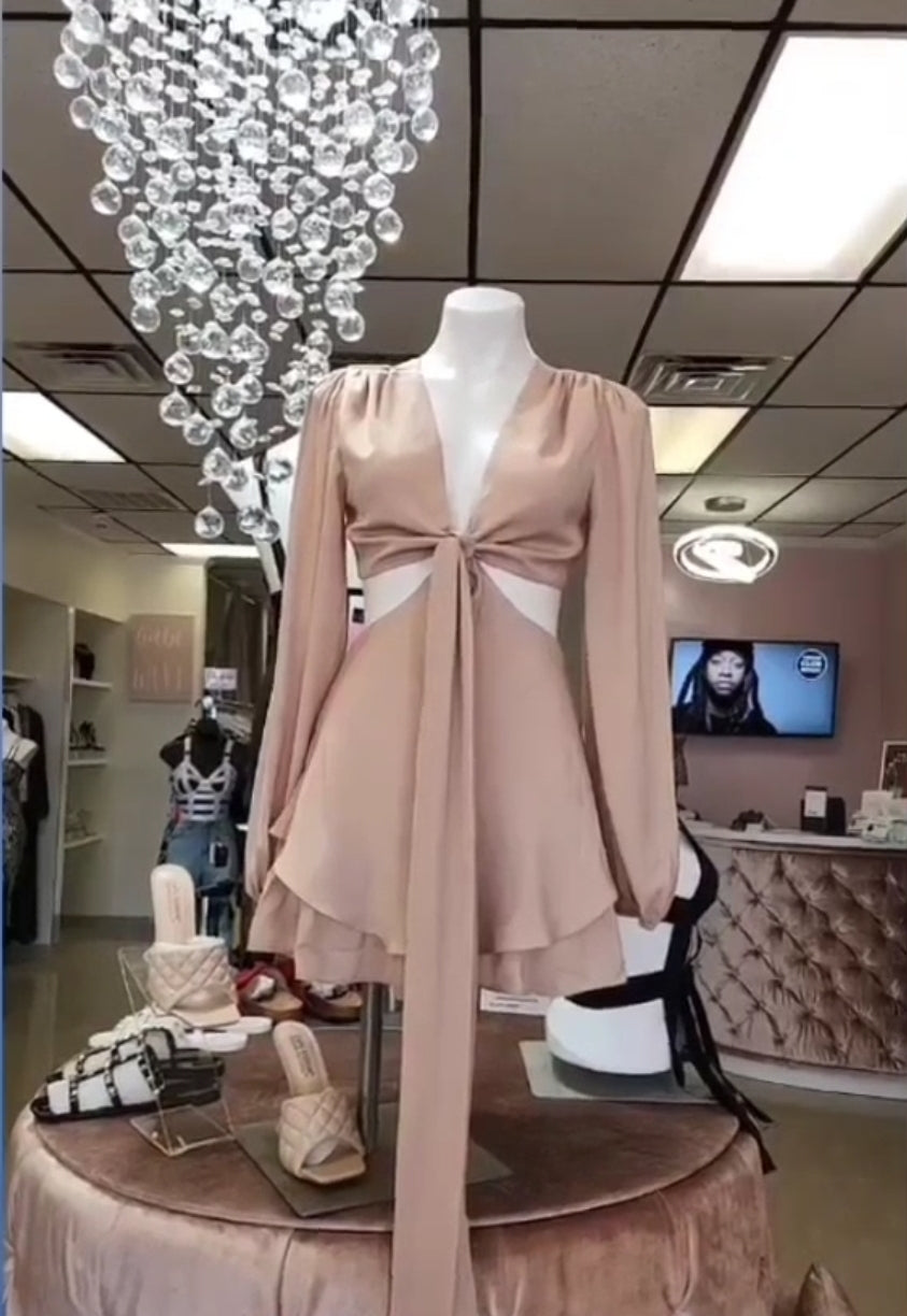 Craze Me Mini Dress